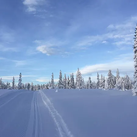 بيت للعطل In With Sauna *