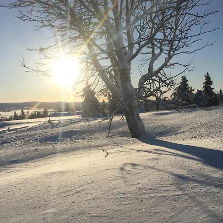 In With Sauna ليلّيهامّير