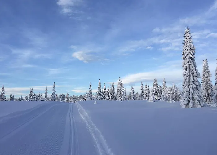 Feriehus In With Sauna *