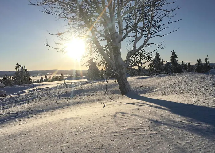 In With Sauna Lillehammer